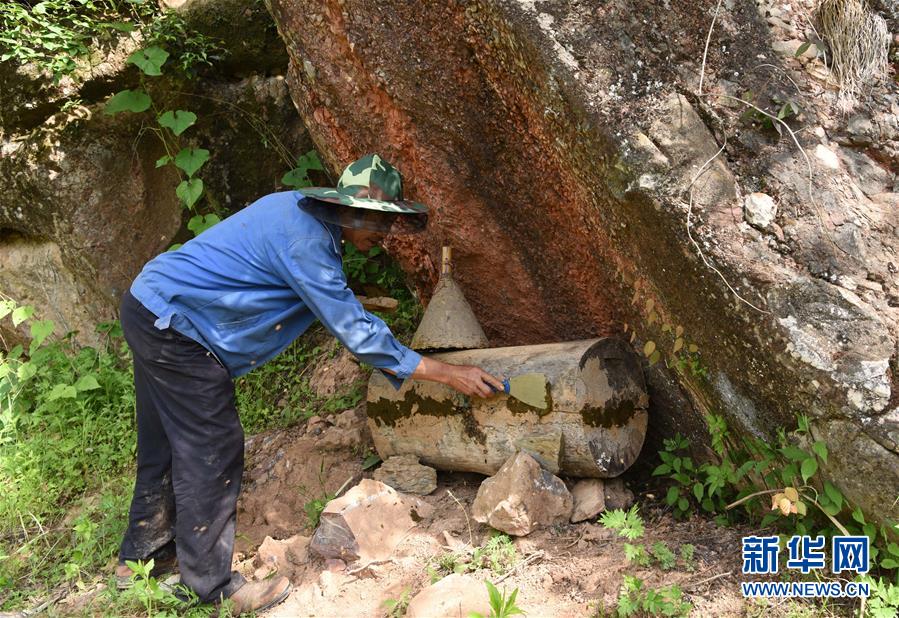 (社会)(3)大山深处养蜂忙