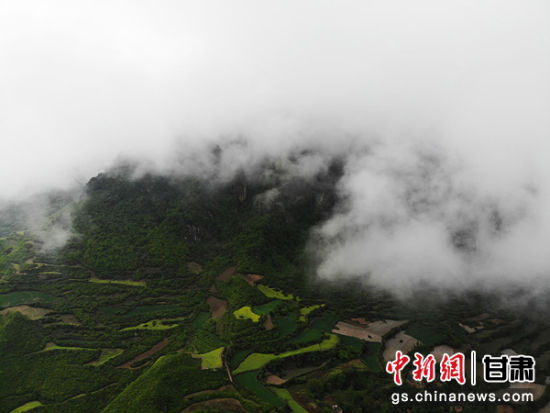 图为贵清山景区云雾缭绕,美不胜收。 图为贵清山景区云雾缭绕,美不胜收。