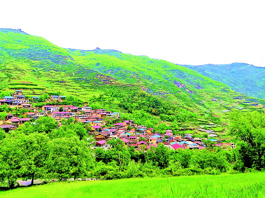 舟曲西岔村：守住绿水青山　实现精准脱贫 