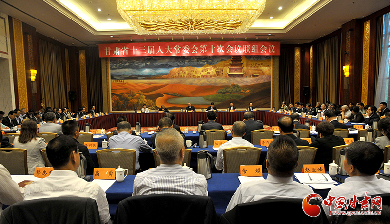 甘肃省十三届人大常委会第十次会议举行联组会议（图）