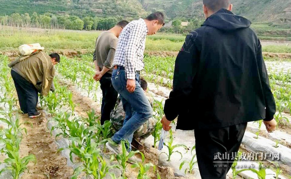 【冲刺清零】四门镇：下湾村“支部+合作社+农户”模式 让群众富在产业链上