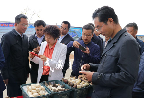 古浪城镇人口_古浪城镇规划(3)
