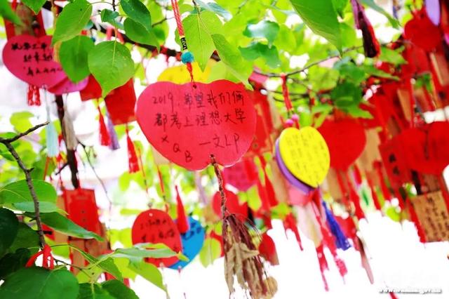 祈福文化旅游节 ——武山欢迎您！