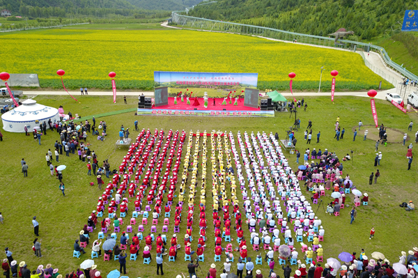 临夏和政：16万亩油菜花绽放 美了乡村富了乡民