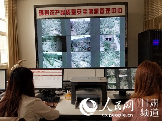环县电商中心的质量安全溯源管理平台。（孙康洁 摄）