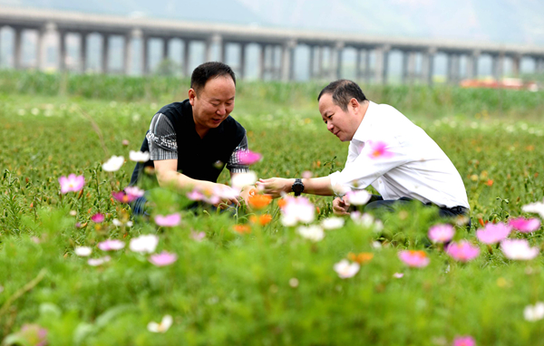 【甘肃五个一百网络正能量图片·系列展播（2）】甘肃渭源：村口就业助脱贫