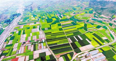 【作风建设·集中整治进行时】为基层减负，各地在行动