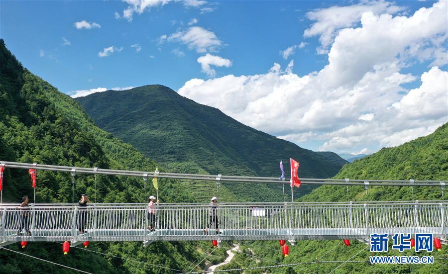 (社会)(1)甘肃宕昌:森林公园里享清凉