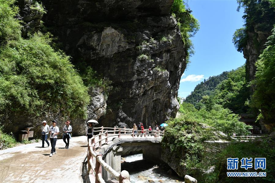 (社会)(5)甘肃宕昌:森林公园里享清凉
