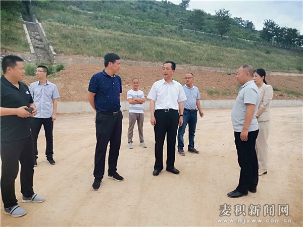 成少平督查易地搬迁项目建设情况