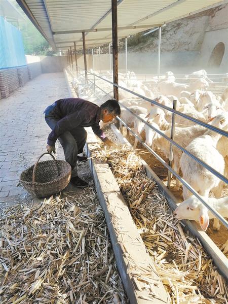 铆足干劲 倾力帮扶——庆阳华池县怀安乡宋咀子村见闻（图）