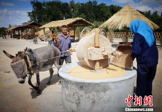 图为农作物灌溉场景展示区。 马爱彬 摄 图为农作物灌溉场景展示区。 马爱彬 摄