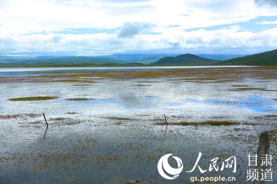 甘肃甘南州：湿地保护筑牢生态安全天然屏障