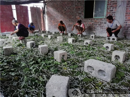 ¾¸Î÷ÄÏÆÂ£ºÀϵ³Ô±²»Íü³õÐÄ ÒåÎñ¿ª°ì¡°Å©¼Ò¿ÎÌá±