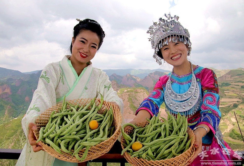 天水在线摄影报道：武山豆角，高原夏菜，天然好菜(图)