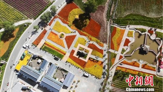 图为八月上旬,临潭县“八角花谷、十里画廊”、庙花山“花庐”和八角乡村田园综合体示范基地一处。 高展 摄 图为八月上旬,临潭县“八角花谷、十里画廊”、庙花山“花庐”和八角乡村田园综合体示范基地一处。 高展 摄