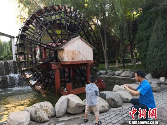 图为夏日里的兰州水车博览园风光。 杨娜 摄 图为夏日里的兰州水车博览园风光。 杨娜 摄