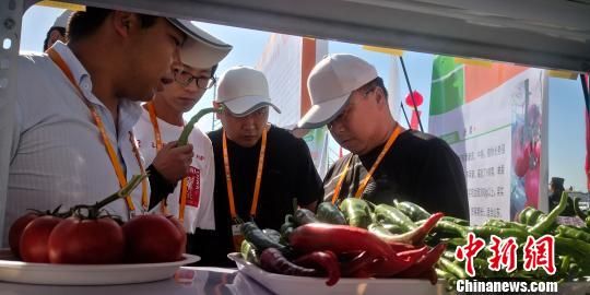 图为客商交流蔬菜新种。 魏建军 摄 图为客商交流蔬菜新种。 魏建军 摄