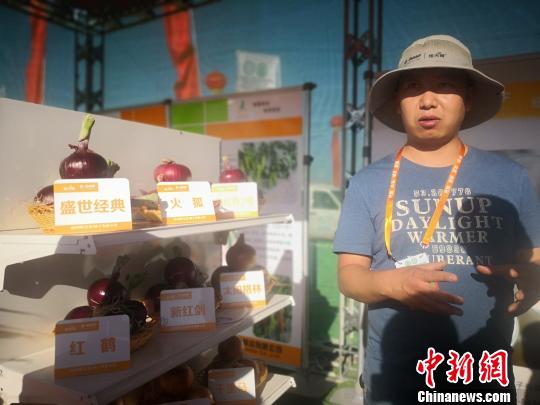 图为国内客商介绍洋葱新品种。 魏建军 摄 图为国内客商介绍洋葱新品种。 魏建军 摄