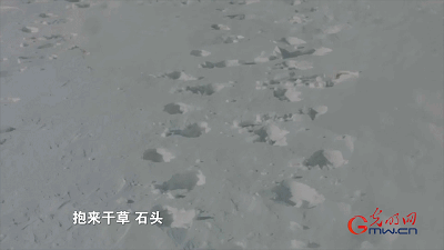 【奋进的中国精神】塞罕坝:荒原到林海的人间奇迹 【奋进的中国精神】塞罕坝:荒原到林海的人间奇迹