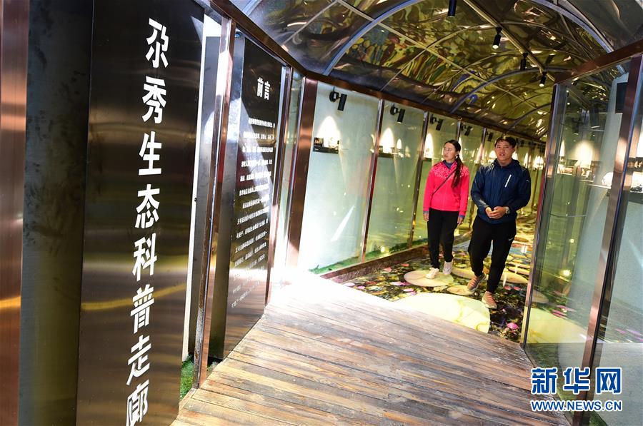 (社会)(1)甘南藏区:生态旅游助牧民“绿色”致富
