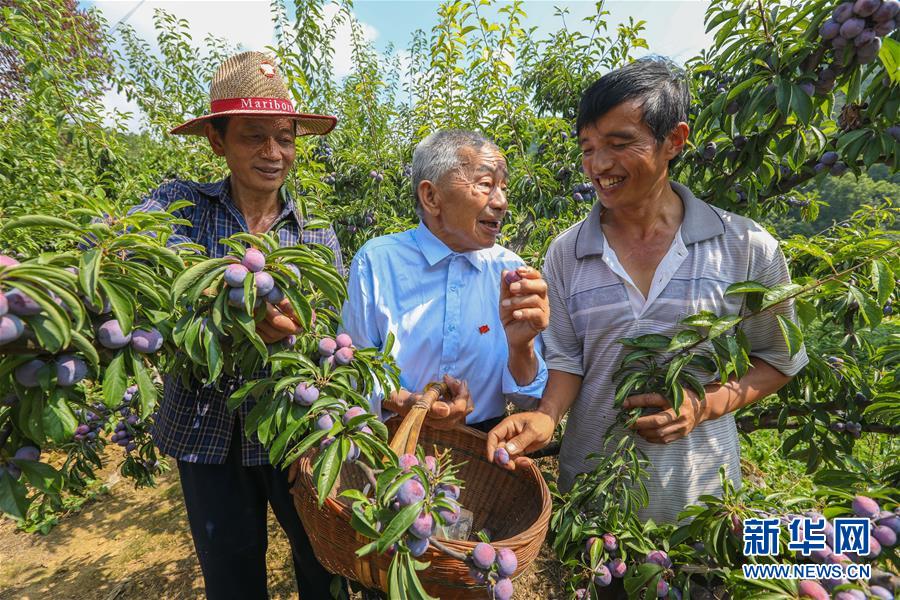 (新华全媒头条·图文互动)(1)凝聚民族复兴的精神伟力——以习近平同志为核心的党中央重视思想道德建设关心关爱道德模范纪实
