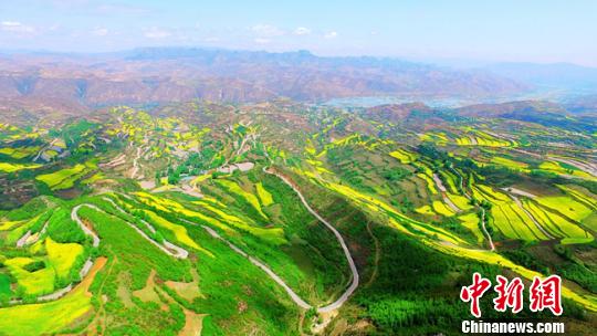 甘肃定西“旱塬愚公”多:荒山披绿装,过20℃夏天成常态