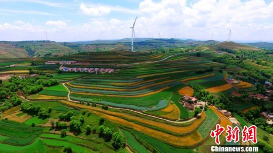图为定西市安定区石泉乡,山梁上一座座风力发电机组和梯田里的各类农作物如同一条条彩色丝带缠绕在黄土地上。(资料图) 王金生 摄 图为定西市安定区石泉乡,山梁上一座座风力发电机组和梯田里的各类农作物如同一条条彩色丝带缠绕在黄土地上。(资料图) 王金生 摄