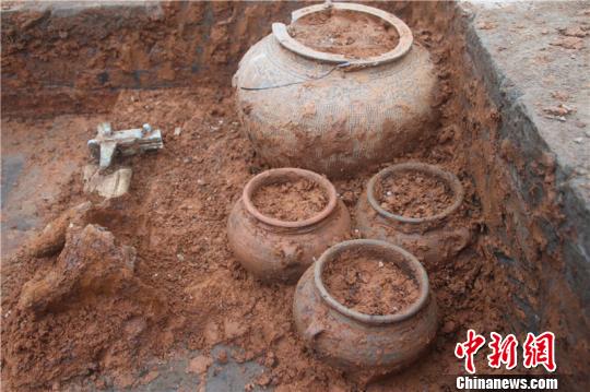 浙江东钱湖陶公山发现东汉时期砖室墓群 浙江东钱湖陶公山发现东汉时期砖室墓群