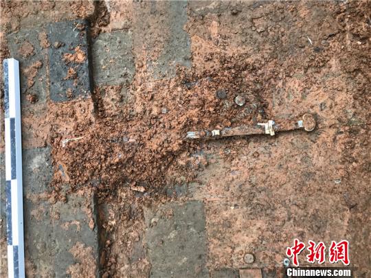 浙江东钱湖陶公山发现东汉时期砖室墓群