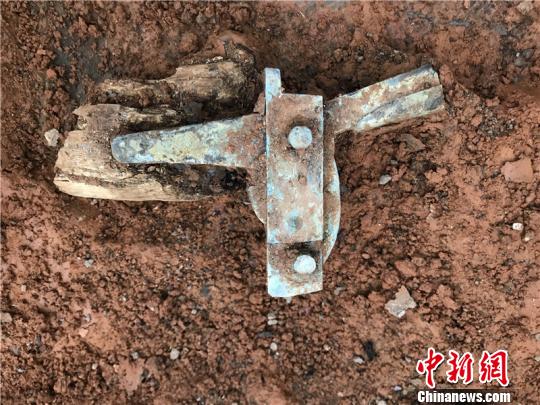 浙江东钱湖陶公山发现东汉时期砖室墓群