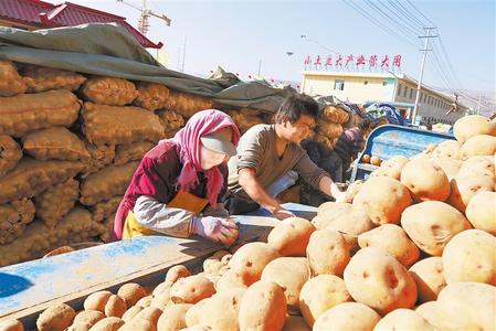 “洋芋蛋”的华丽“三级跳”——定西市大力发展马铃薯产业纪实