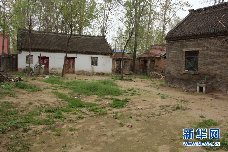 （集中连片特困地区贫困村调研行·图文互动）（1）风沙窝变成“金银铺”——河南兰考县张庄村脱贫调查