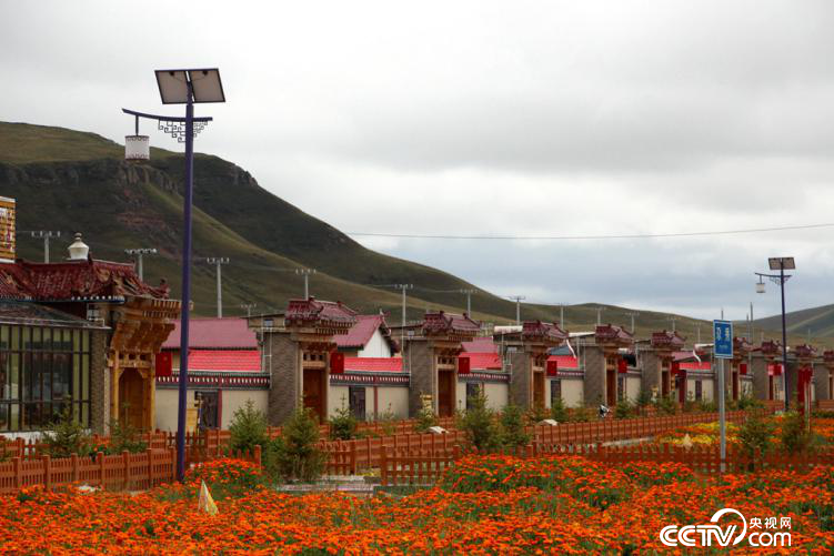 被誉为“生态旅游第一藏寨”的尕秀村（王甲铸/摄）