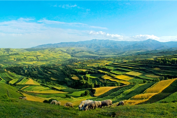 临夏州地处青藏高原与黄土高原过渡地带