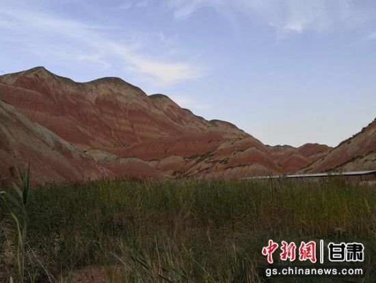丹霞山下,芦苇随风摇曳,相映成趣。 丹霞山下,芦苇随风摇曳,相映成趣。