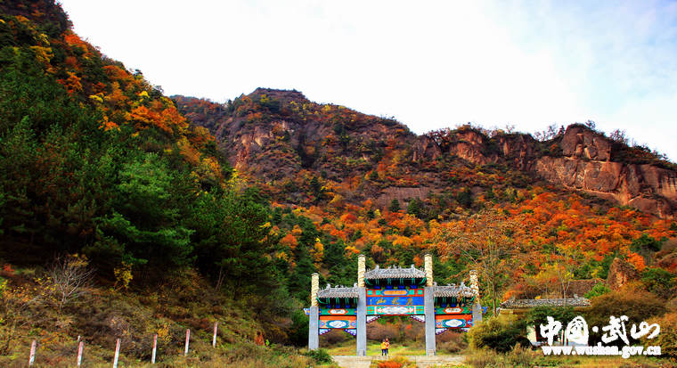 【大美武山】秋染君山红叶艳