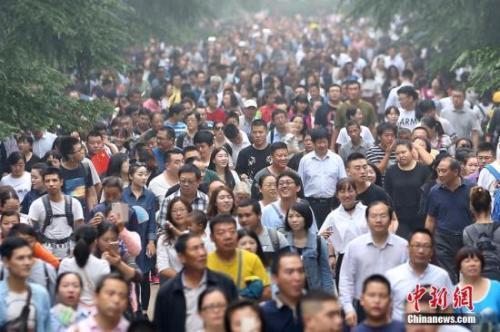 资料图。<a target='_blank' data-cke-saved-href='http://www.chinanews.com/' href='http://www.chinanews.com/'>中新社</a>记者 泱波 摄 点击进入下一页