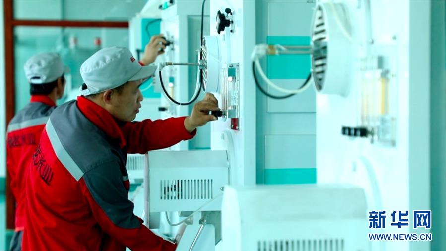 (在习近平新时代中国特色社会主义思想指引下——新时代新作为新篇章·总书记关心的百姓身边事·图文互动)(2)为了百姓餐桌上热腾腾的一碗好饭——粮食品种升级满足舌尖上的新期待