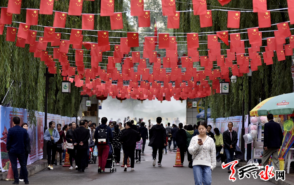 麦积这场菊花盛宴“醉”了天水