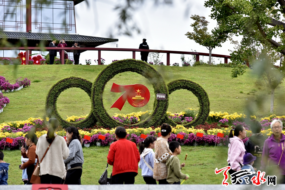 麦积这场菊花盛宴“醉”了天水