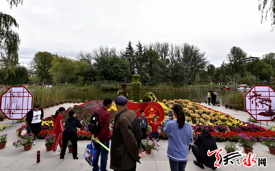 麦积这场菊花盛宴“醉”了天水