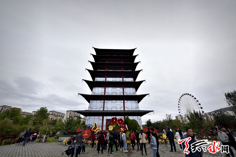 麦积这场菊花盛宴“醉”了天水