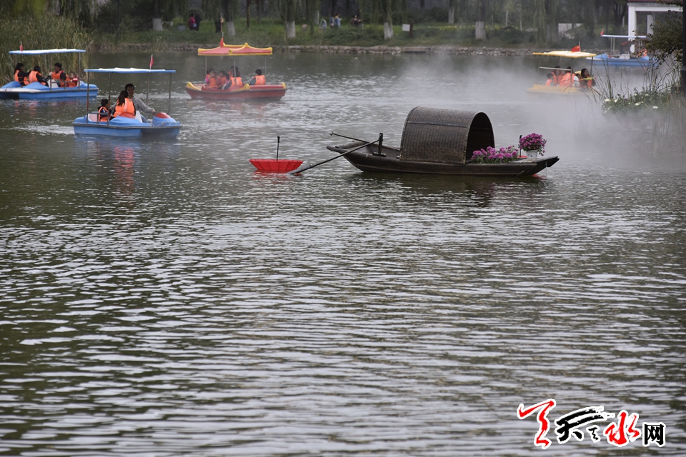 麦积这场菊花盛宴“醉”了天水