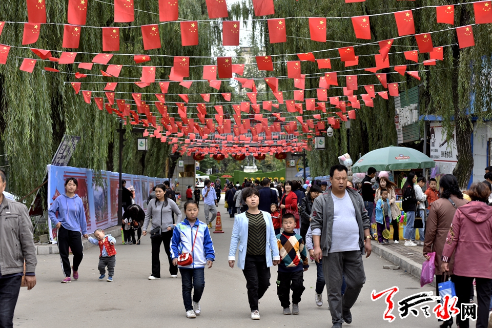 麦积这场菊花盛宴“醉”了天水