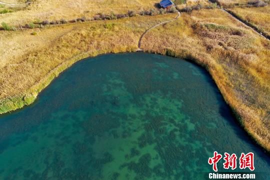 航拍张掖国家湿地公园秋景。 成林 摄 航拍张掖国家湿地公园秋景。 成林 摄