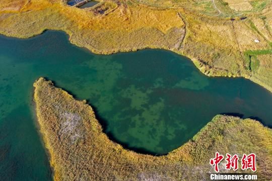水域、芦苇相应成景。 成林 摄 水域、芦苇相应成景。 成林 摄