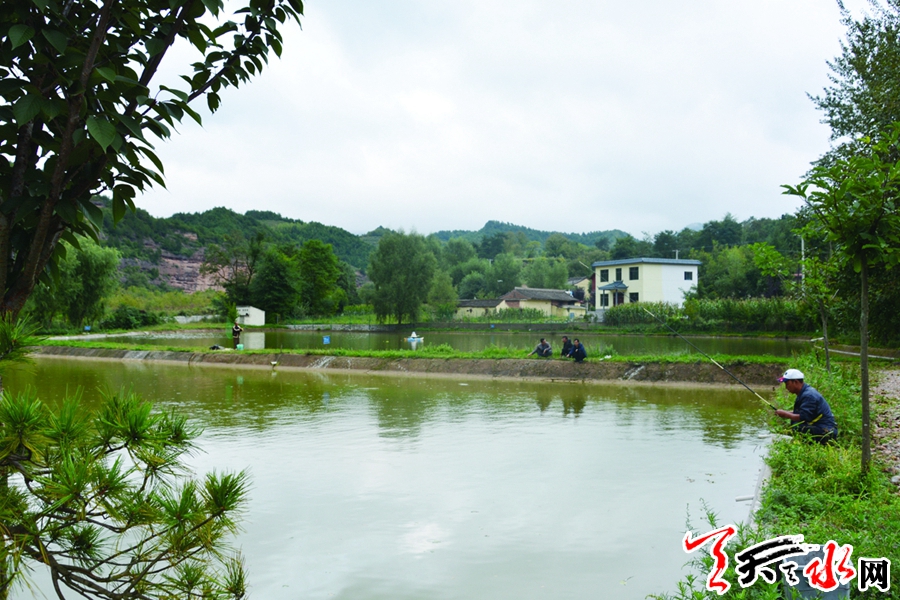 【壮丽70年】麦积区红崖村：从“牛粪村”到“网红村”