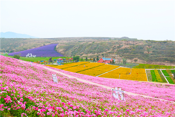 “田园”筑梦 兰州市榆中县李家庄“三变”构筑富民新模式（图）