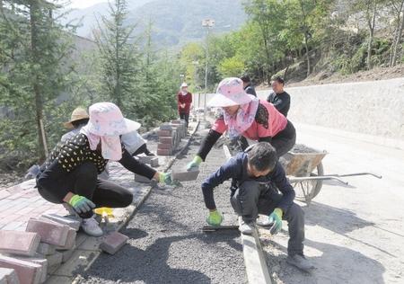 陇南成县红川镇：“订单辣椒”富了红川人